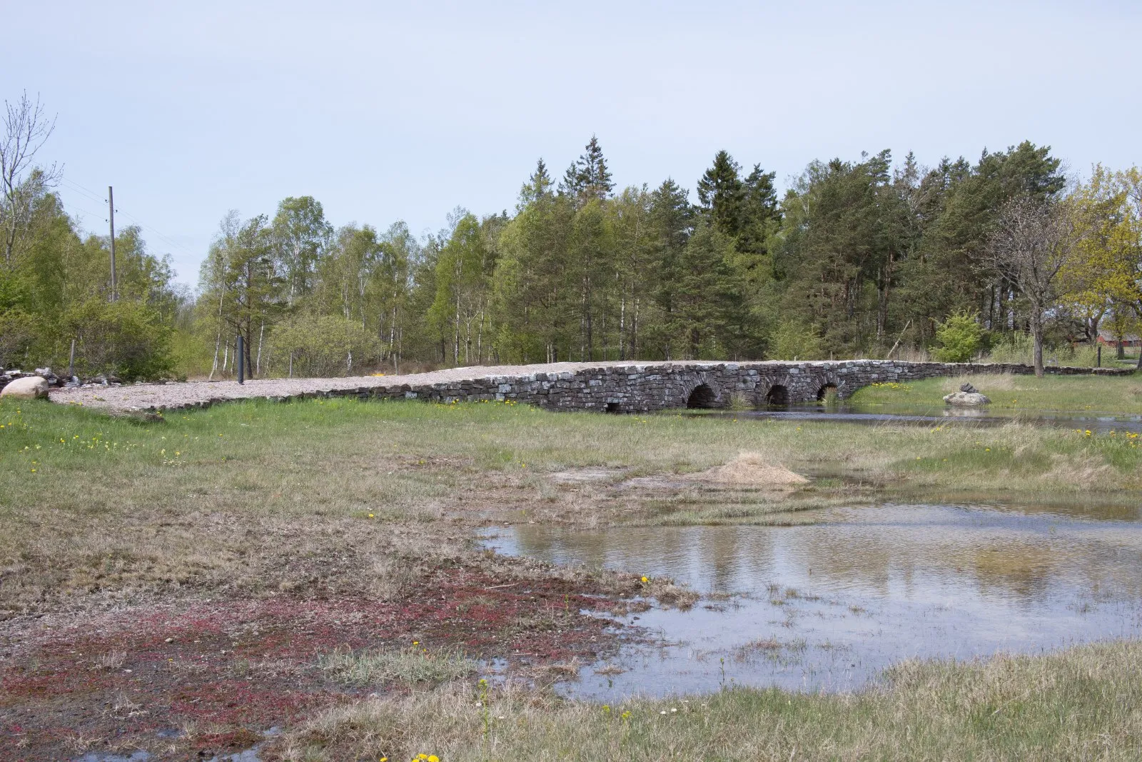 Möckelmossen