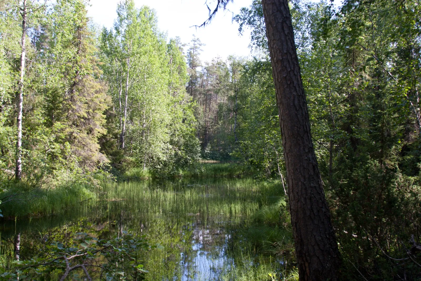Öland