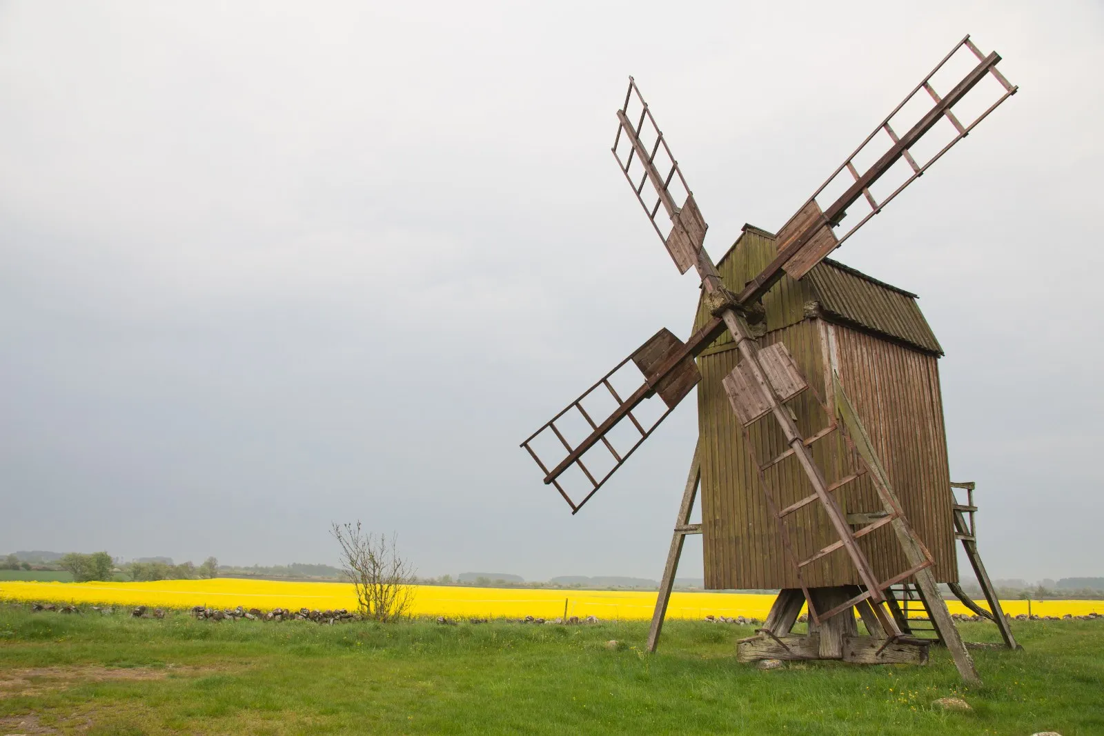 Ölands molentje