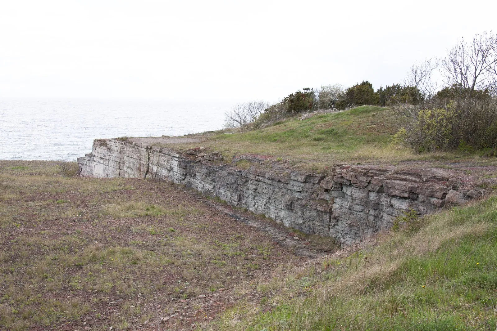 Strant
