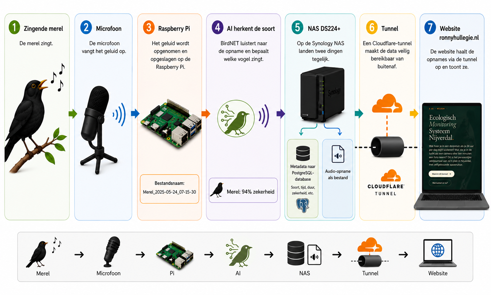 Infographic: van zingende merel via microfoon, Raspberry Pi, AI-detectie en NAS naar deze website.