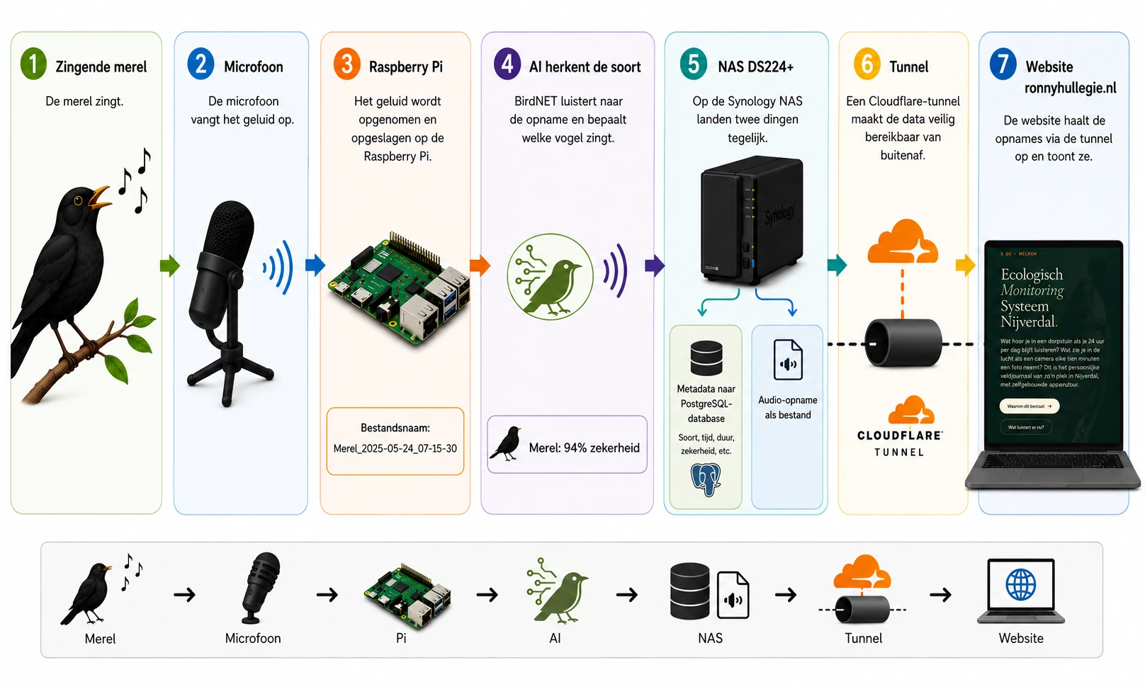 Infographic: van zingende merel via microfoon, Raspberry Pi, AI-detectie en NAS naar deze website.